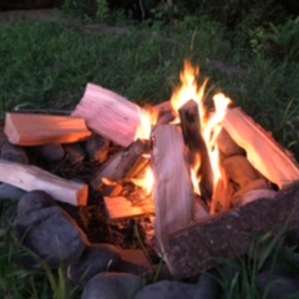You can buy firewood right there at the campground