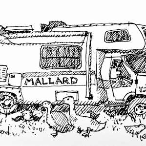 Up early enjoying coffee with the hundreds of chickens and noticed the only two ducks on the property. They hang out near this R/V, which is very appropriately named!