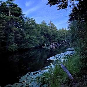 Private spot on Salmon Falls River