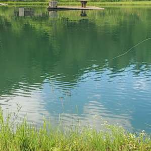 Bass Pond