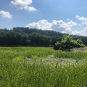 Waters island