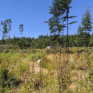 Medley Woods Retreat