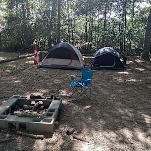 Forested, Next to Lake Conroe!