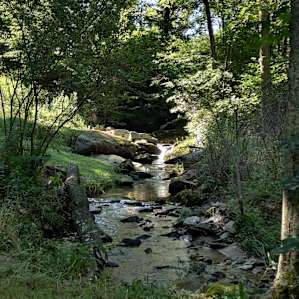 Sleepy Campers Hollow