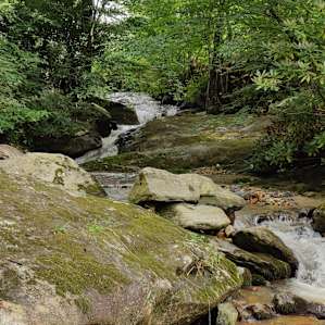 Sleepy Campers Hollow