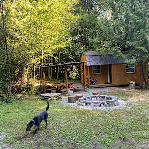 My pup happily exploring