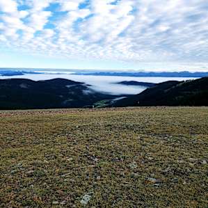 Cumberland High Alpine Campsite!