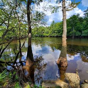 Black River Camping Ventures