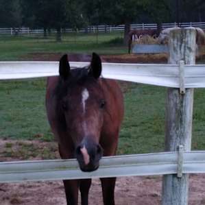 Legacy Farms Leisure Area