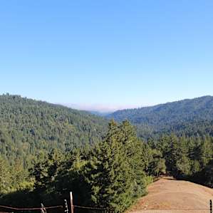 View from the highest point on the trail that goes around the property. You can see the fog bank in the distance.