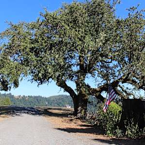 On the trail that goes around the property. Trails are marked to help you stay on track.