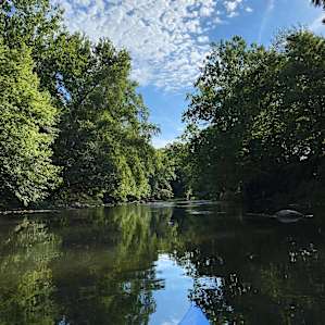 Kayaking the eel river for a small fee to the hosts!