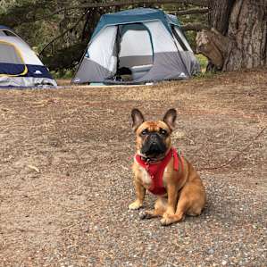 Bodega Dunes Campground