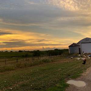 Firefly Creek Ranch