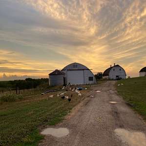Firefly Creek Ranch