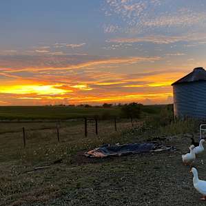 Firefly Creek Ranch