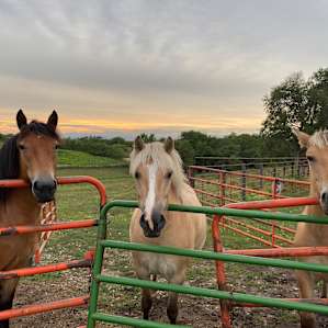 Firefly Creek Ranch