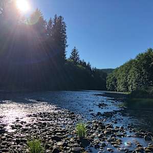 Salmon Run