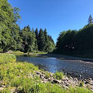 Salmon Run