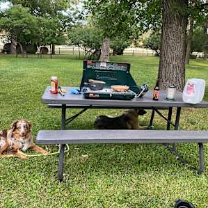 Picnic area at our site with our pups!