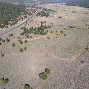 Phewpine Ranch