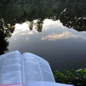 Morning devotions on a bench by the pond!
