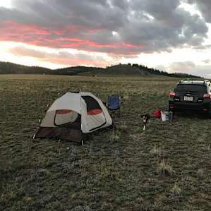 Camp Indigo at Compound Brown