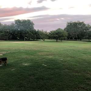 Looking away from river at site 1