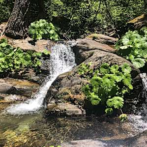 Great spot for a quiet afternoon.