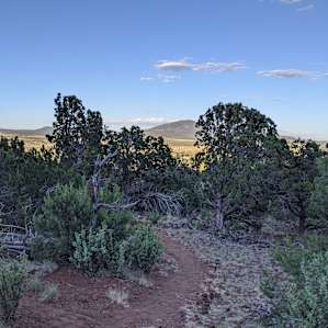 Looking out from the deck.
