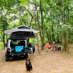 Our set up! (Our dog modeling so well)