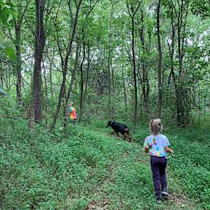 Lots of trails to explore