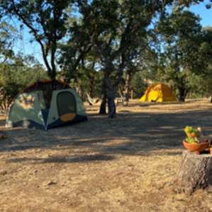 Lu'um Farm Stay Campsite