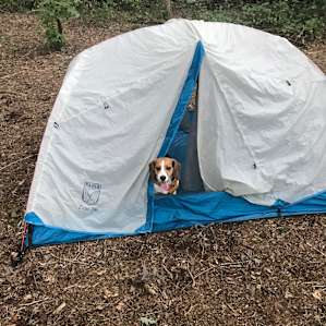 Eden Oaks Vineyard Campground