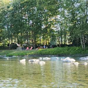 RIVER SIDE