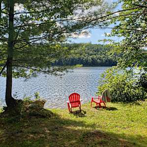 Wooded Tent Camping on Lake