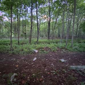 Hideout at Wildom Farm