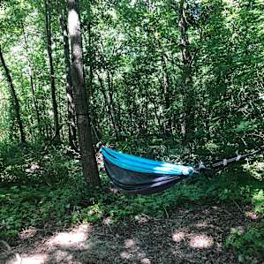 Strung up the hammock!