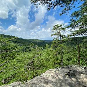 The Lookout at Raven Ridge