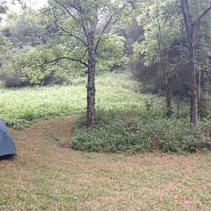 Site #2