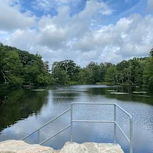 The lake a short 15 min walk from the damp