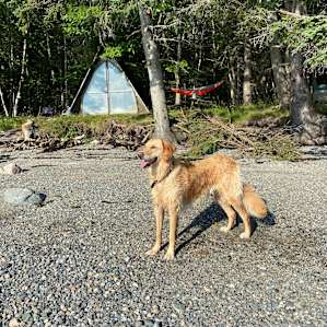 Off-grid Oceanfront Acadia A-frame