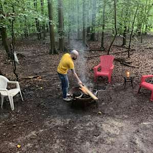 The Wonder of the Woods