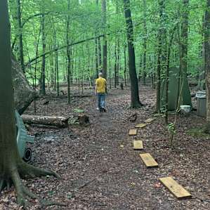 The Wonder of the Woods