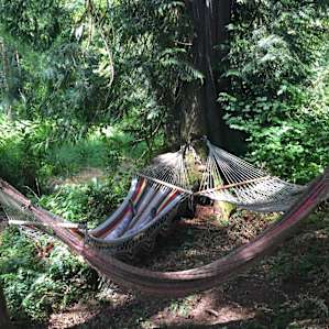hammocks