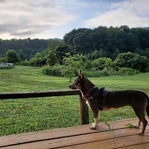 Even the bathrooms have a gorgeous view from the porch.