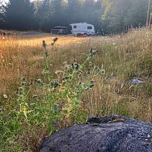 Our RV trailer site