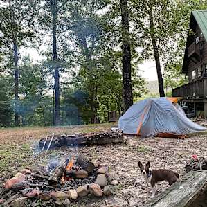 Perfect camping spot up by the cabin