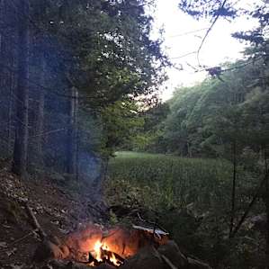 Maine WildWalkWaysTHREE