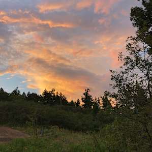 Nice sunset after a brief rain shower